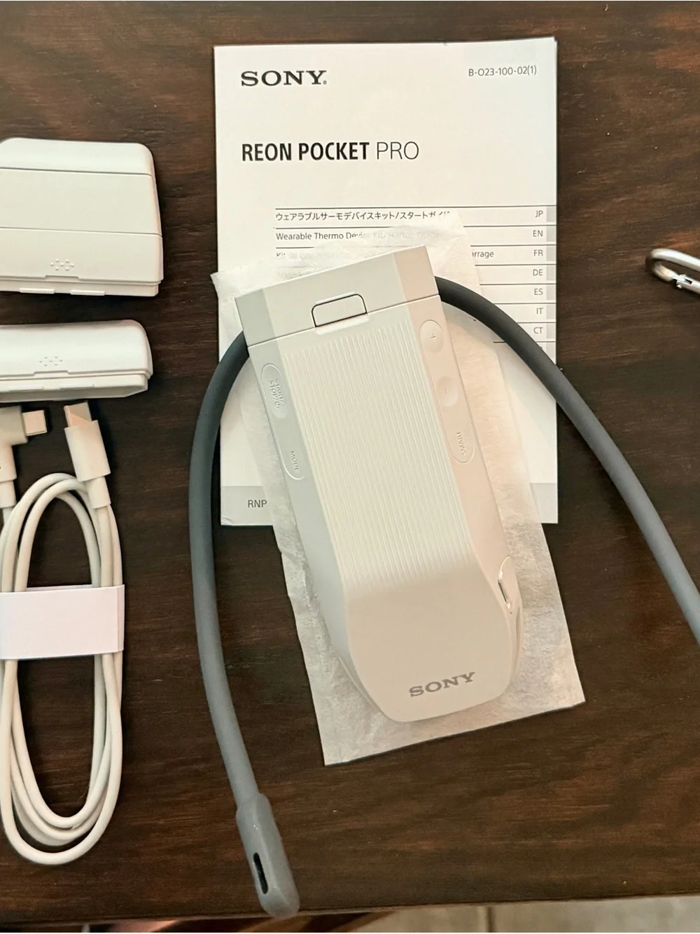 Sony reon pocket